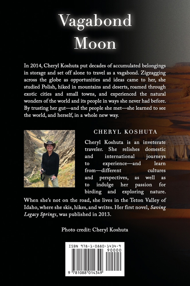 Vagabond Moon by Cheryl Koshuta (Paperback)