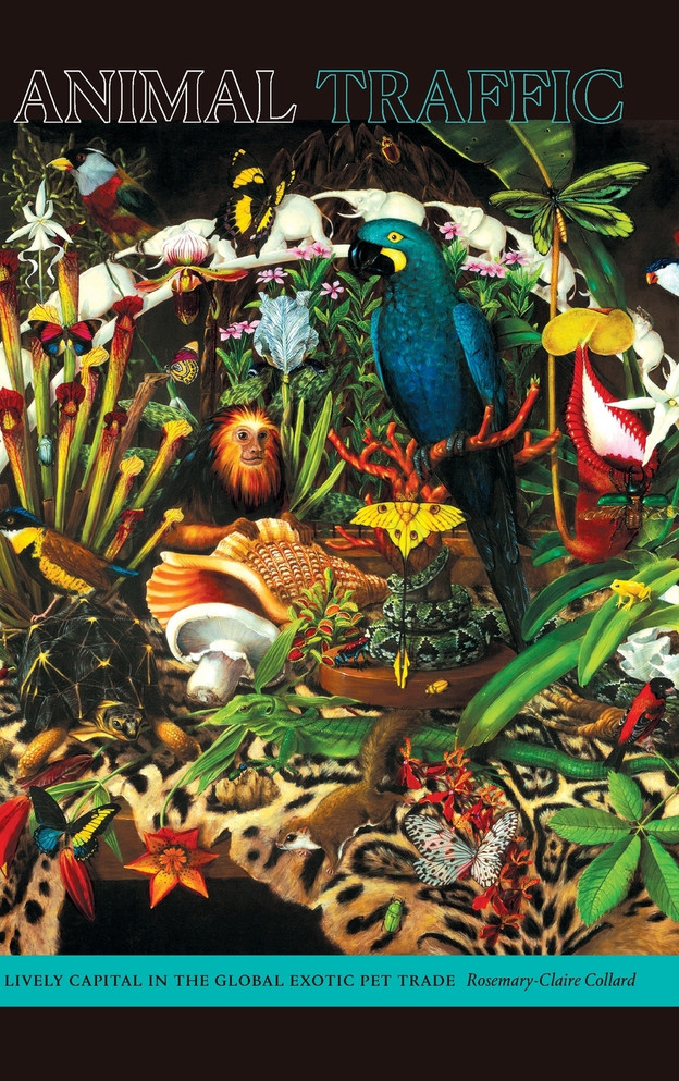 Animal Traffic