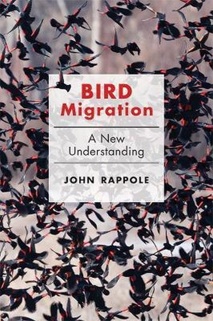 Bird Migration