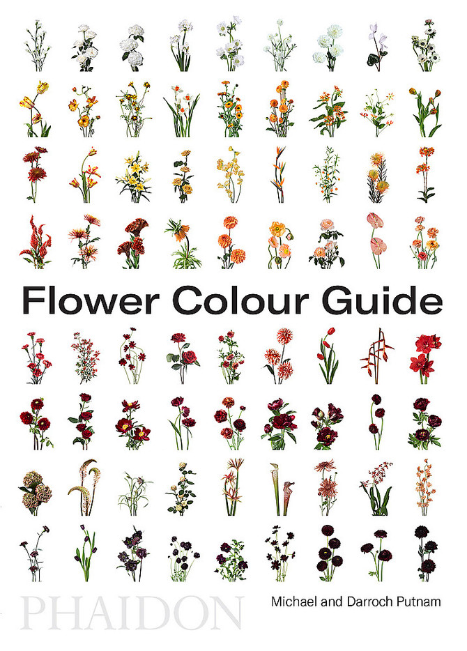 Flower Colour Guide