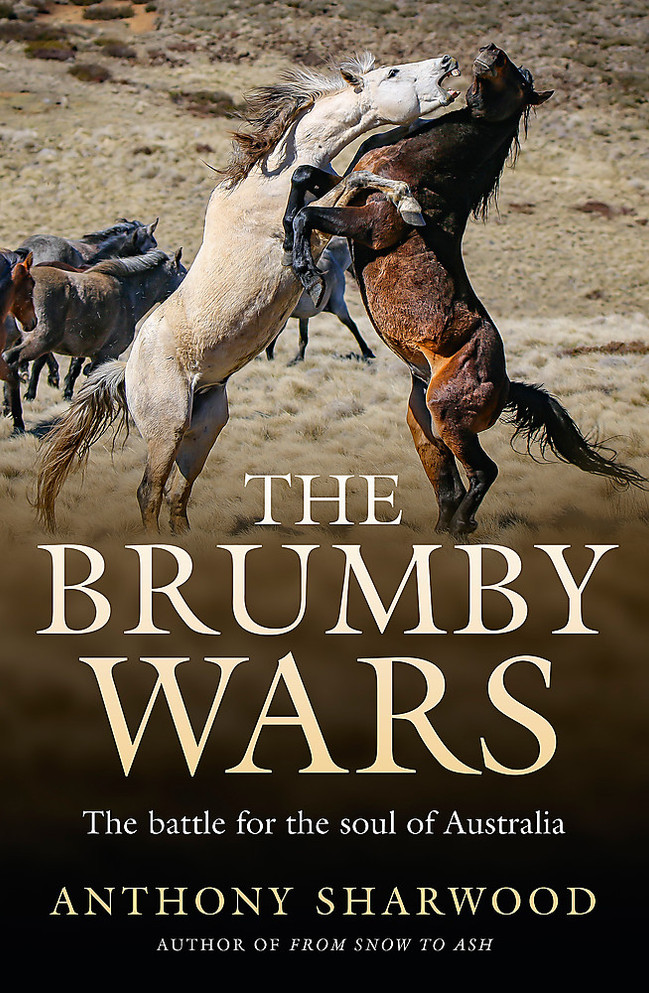 The Brumby Wars