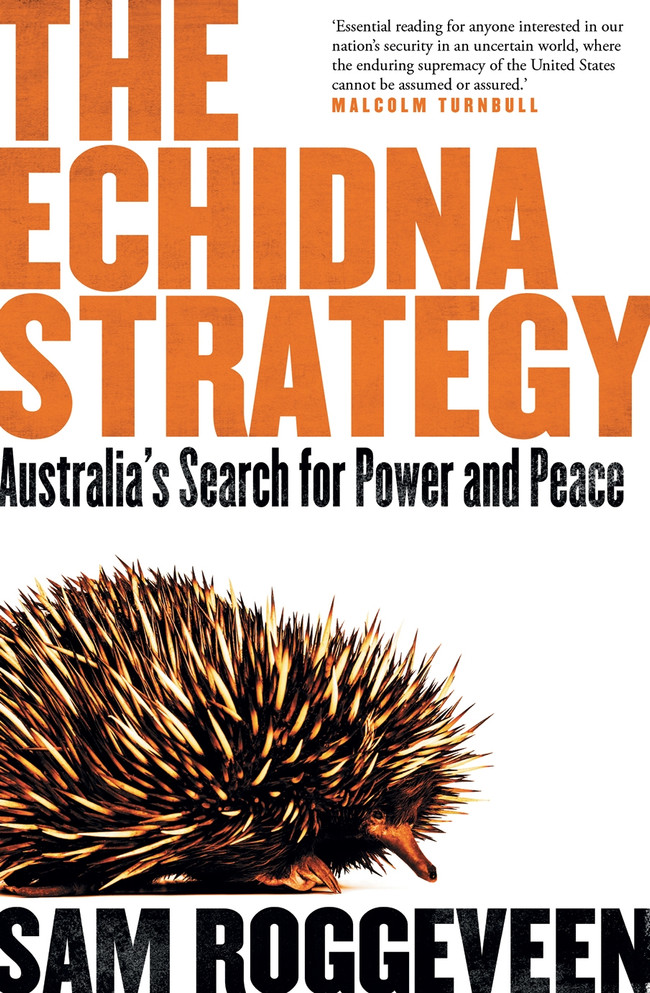 Echidna Strategy