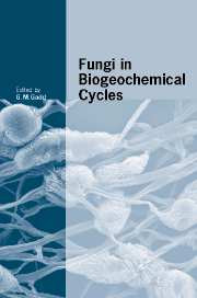 Fungi in Biogeochemical Cycles