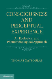 Consciousness and Perceptual Experience