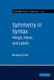 Symmetry in Syntax