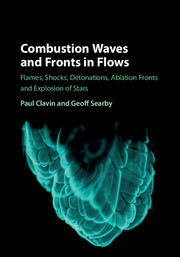 Combustion Waves and Fronts in Flows