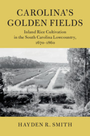 Carolina's Golden Fields