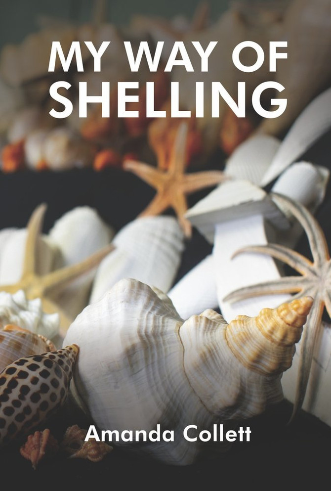 MY WAY OF SHELLING
