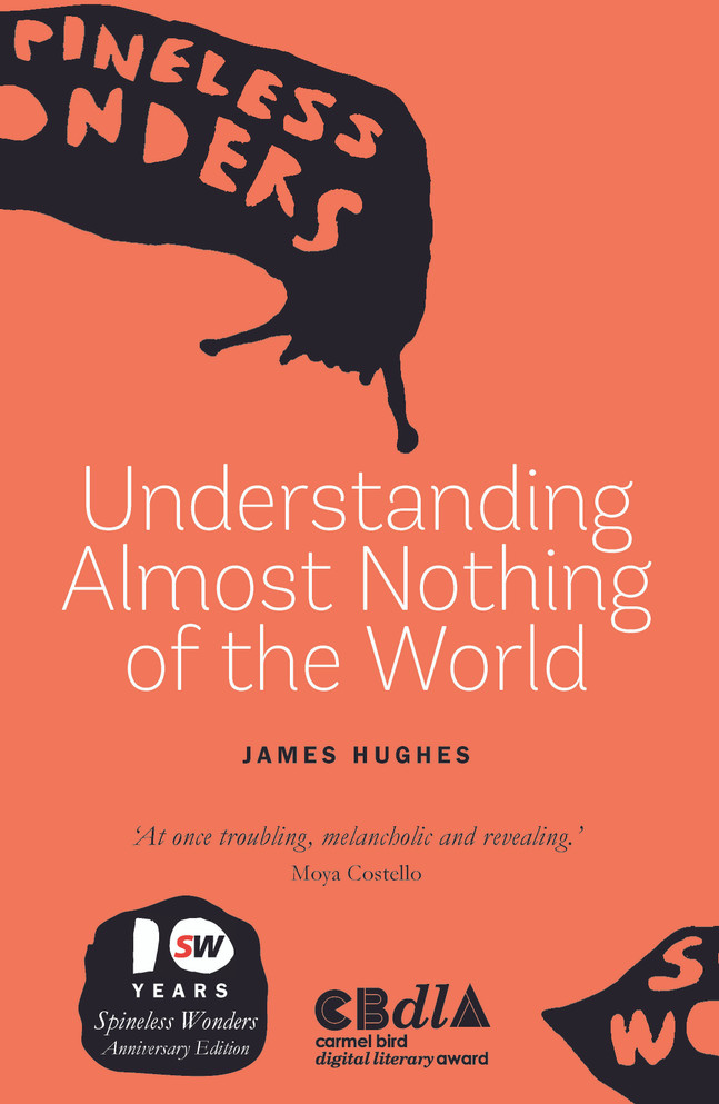 Understanding Almost Nothing of the World