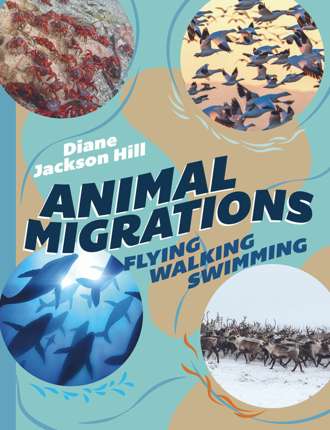 Animal Migrations