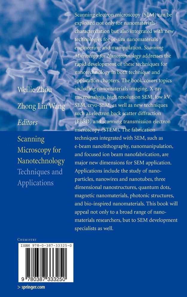 Scanning Microscopy for Nanotechnology