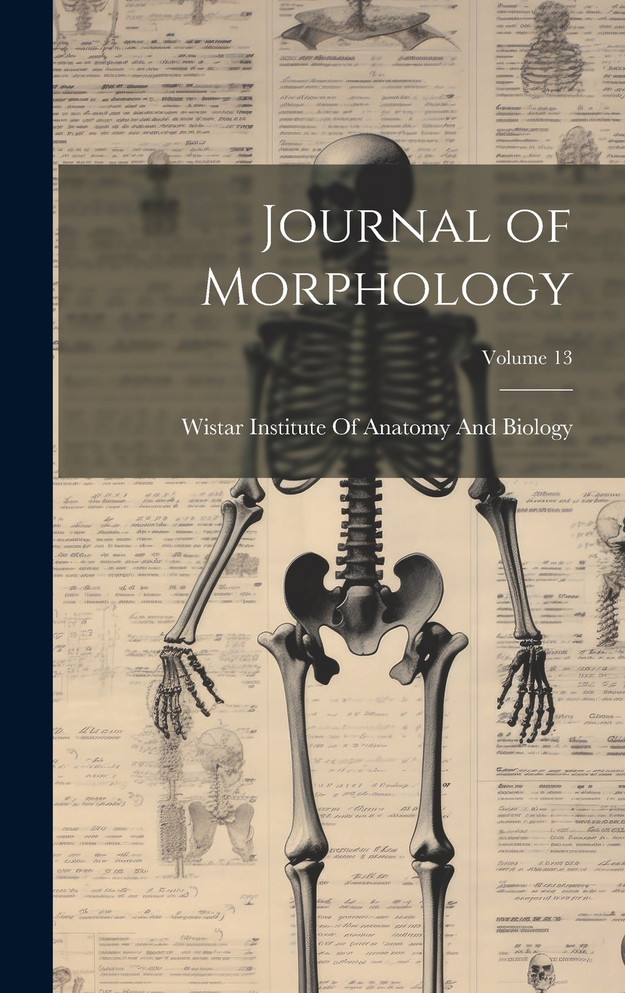 Journal of Morphology; Volume 13