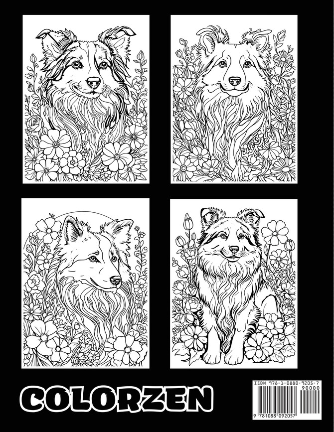 Collie Canvases