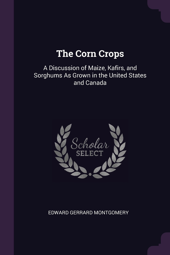 The Corn Crops