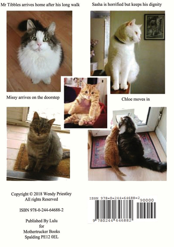 The Cats That Came Back