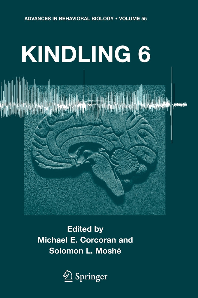 Kindling 6