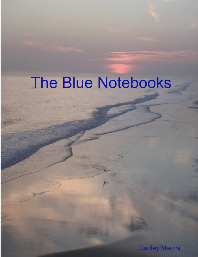 The Blue Notebooks