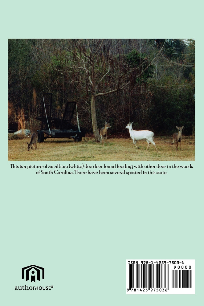 Short Stories About Life in Berkeley County South Carolina