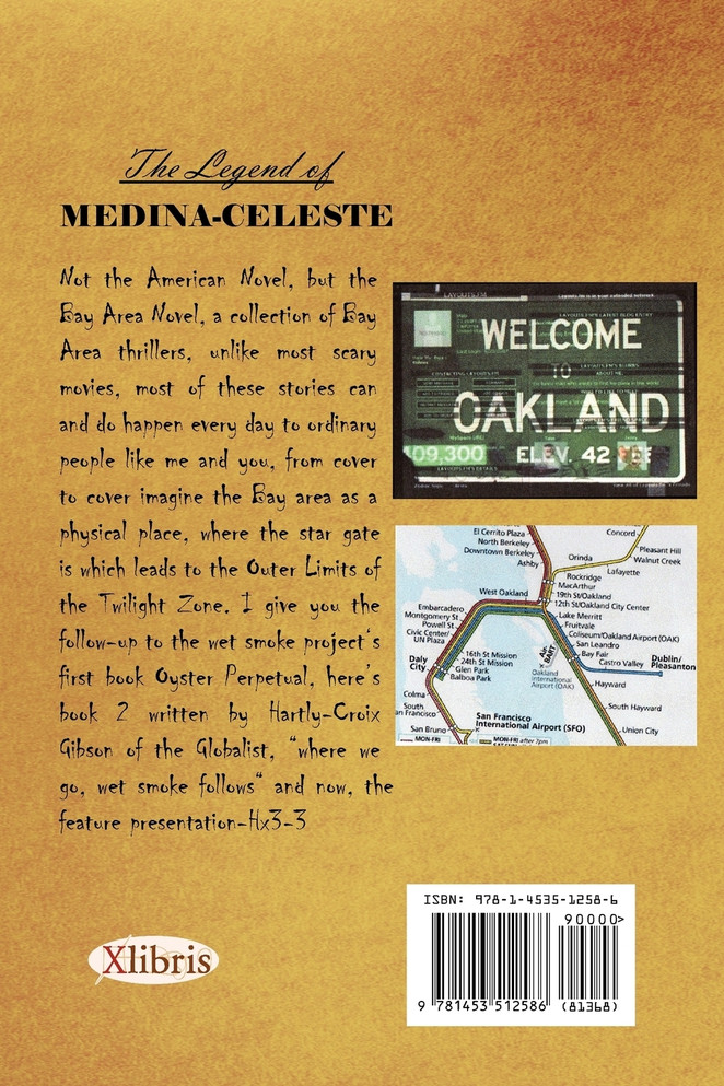 The Bay Area Novel