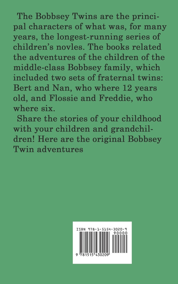 The Bobbsey Twins at the Seashore