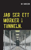 Jag ser ett mörker i tunneln.