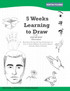 5 Weeks Learning to Draw