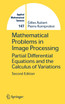 Mathematical Problems in Image Processing