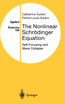 The Nonlinear Schrödinger Equation