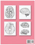 Neuroanatomy Human Brain Coloring Book