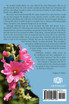 Hollyhock Wisdom