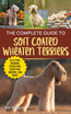 The Complete Guide to Soft Coated Wheaten Terriers