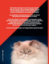 Genetik für Pointkatzenzüchter