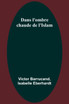 Dans l'ombre chaude de l'Islam