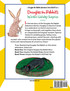 Douglas the Rabbit's Winter Holiday Surprise