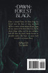 Dawn of Forest Black