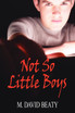 Not So Little Boys