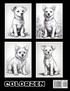 Puppy Pals Mandala Magic