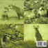 Animals In My Backyard - Animal Book 4 Years Old | Children's Animal Books