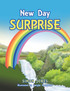 New Day Surprise
