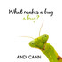 What Makes a Bug a Bug?