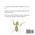 What Makes a Bug a Bug?