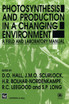 Photosynthesis and Production in a Changing Environment