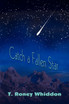 Catch a Fallen Star