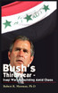Bush's Third Year - Iraqi War, Rebuilding Amid Chaos