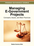 Managing E-Government Projects