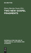 Two New Gospel Fragments