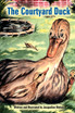 The Courtyard Duck