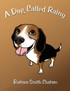A Dog Called Rainy