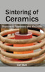 Sintering of Ceramics