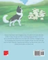 Ben the Border Collie